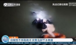 最新偷鱼爆料事件视频大全,揭秘水下盗猎黑幕