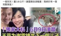 王菲好友爆料事件视频播放,视频播放引发热议