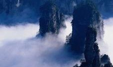 张家界跟团爆料视频播放,真实体验曝光，带你领略自然奇观背后的故事