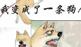 吃瓜发疯小说在线阅读免费