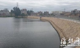莆田水库洗澡爆料视频,揭秘网络爆料的背后真相