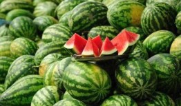 吃瓜事件网红西安,揭秘网络红人的争议瞬间