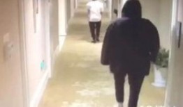 吃瓜胡一天网红