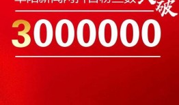 阜阳新闻网爆料,揭秘当地热点事件背后的真相