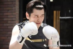 高州刘灿爆料事件视频,真相与争议的交织