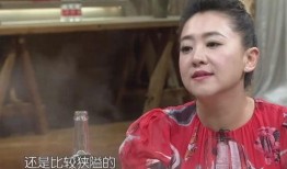 张婷儿子爆料视频大全集,揭秘家庭幕后故事