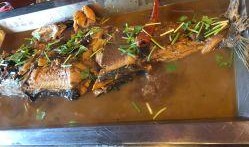 北京胖头鱼爆料视频,幕后真相大起底