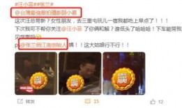 王小菲狗仔爆料视频播放,王小菲爆料视频引发热议，揭秘娱乐圈幕后真相