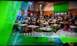珠江今日关注怎样爆料,揭秘爆料背后的真相与线索