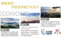 爆炸性新闻怎么爆料的呢,独家爆料背后的真相与内幕