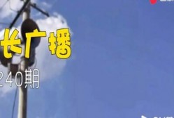 解忧大队爆料视频全集,揭秘幕后真相与感人瞬间