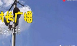 解忧大队爆料视频全集,揭秘幕后真相与感人瞬间