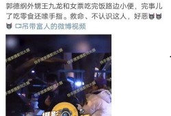 刘大锤爆料王九龙视频大全,王九龙视频大全背后的精彩瞬间