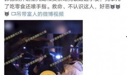 刘大锤爆料王九龙视频大全,王九龙视频大全背后的精彩瞬间