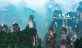 张家界跟团爆料视频播放,真实体验曝光，带你领略自然奇观背后的故事