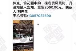 有网友爆料视频怎么办,事件真相究竟如何？