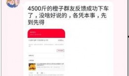 西安网红b站爆料视频,热门景点背后的故事与魅力