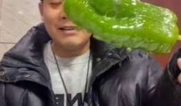 越南网红吃瓜视频,趣味视频引网友热议
