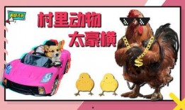 解忧大队爆料视频全集,揭秘幕后真相与感人瞬间