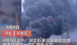 平江最新爆料事件视频曝光,事件视频曝光，真相渐浮水面