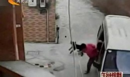 最新偷鱼爆料事件视频大全,揭秘水下盗猎黑幕