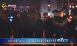 弹头爆料事件始末视频,揭秘背后真相与网络舆论风暴
