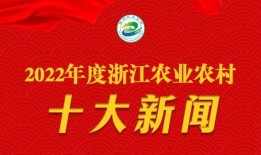 浙江新闻哪里爆料最多,揭秘爆料最多之地
