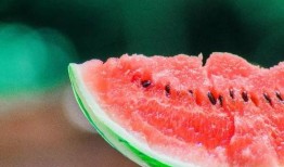 娱乐吃瓜设计理念是什么,揭秘娱乐圈幕后故事，带你领略趣味横生的娱乐圈生态