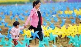 你的名字风车在线观看,探寻风车旋转下的浪漫传奇