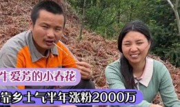 农村大雷女方爆料视频,揭秘乡村婚恋背后的真相