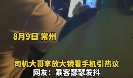 司机大佬爆料视频大全下载,真实事件背后的故事