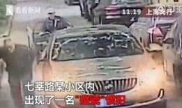 老伯碰瓷爆料视频大全下载,老伯碰瓷爆料视频大全下载解析