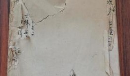 临沂探店爆料事件最新,揭秘网红美食背后的真相与争议