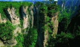 张家界跟团爆料视频播放,真实体验曝光，带你领略自然奇观背后的故事