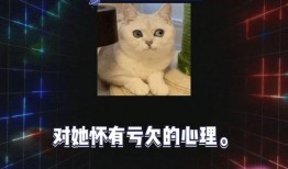 吃瓜娱乐圈游戏,娱乐圈、游戏圈双料盛宴