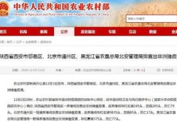 竹山农香最新爆料新闻视频,最新爆料视频深度解析