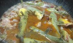 北京胖头鱼爆料视频,幕后真相大起底