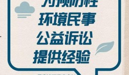 澎湃新闻爆料的冤家错案,真相与正义的追寻