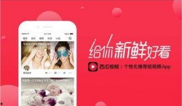 吃瓜头条爆料视频大全集