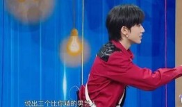 杨迪爆料宋亚轩警匪视频,真相与争议并存