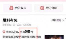朝阳头条最新爆料,最新爆料事件深度解析