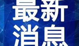 最新偷鱼爆料视频大全下载,揭秘水下捕鱼奇观