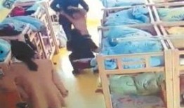 泉州爆料男孩视频曝光事件,真相与争议交织的网络风暴