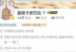 卡哥最新爆料视频大全下载,揭秘幕后真相，带你领略精彩瞬间