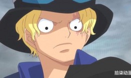 航海王萨博爆料视频