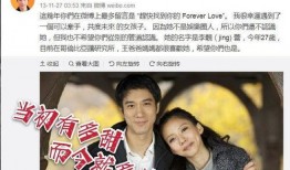 明星离婚新闻爆料,离婚传闻引发热议