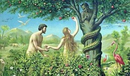 亚当找夏娃在线观看,亚当寻夏娃之旅