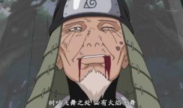 火影叶子爆料视频大全最新,揭秘忍者世界神秘面纱