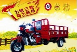 重庆三轮车爆料视频最新,街头冲突一触即发，真相背后引热议