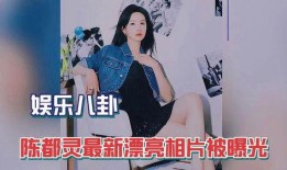 娱乐爆料陈都灵视频,娱乐爆料背后的真相揭秘